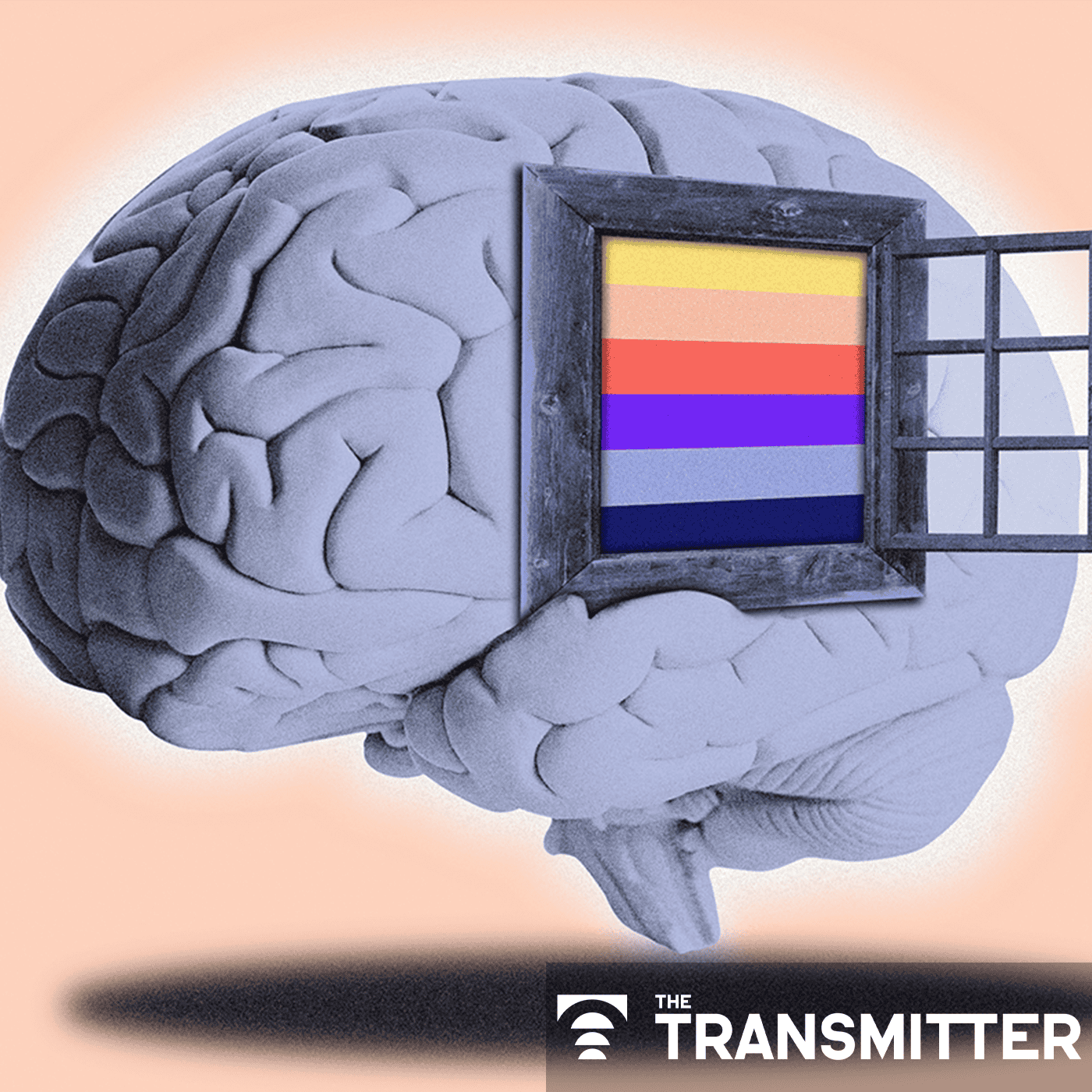 To understand the brain as a network organ, we must image cortical layers episode artwork