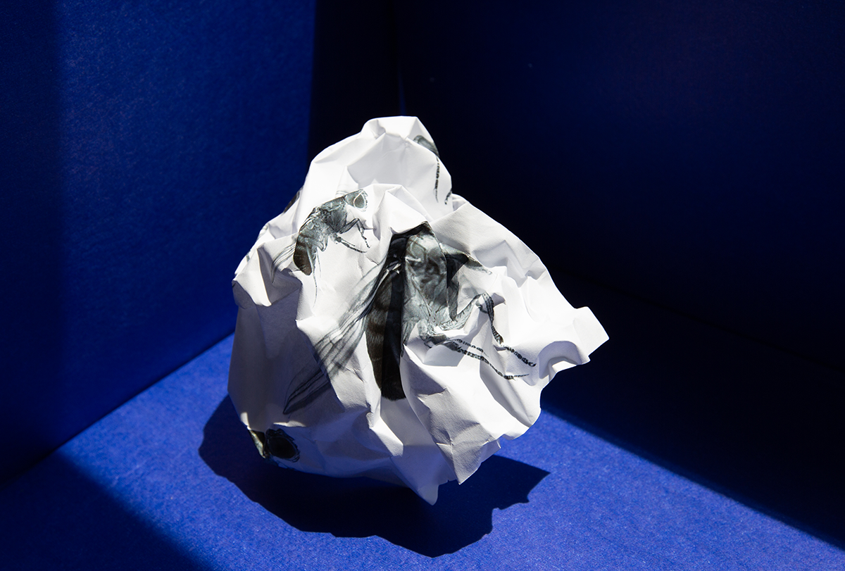 A crumpled sheet of paper with a fly printed on it.