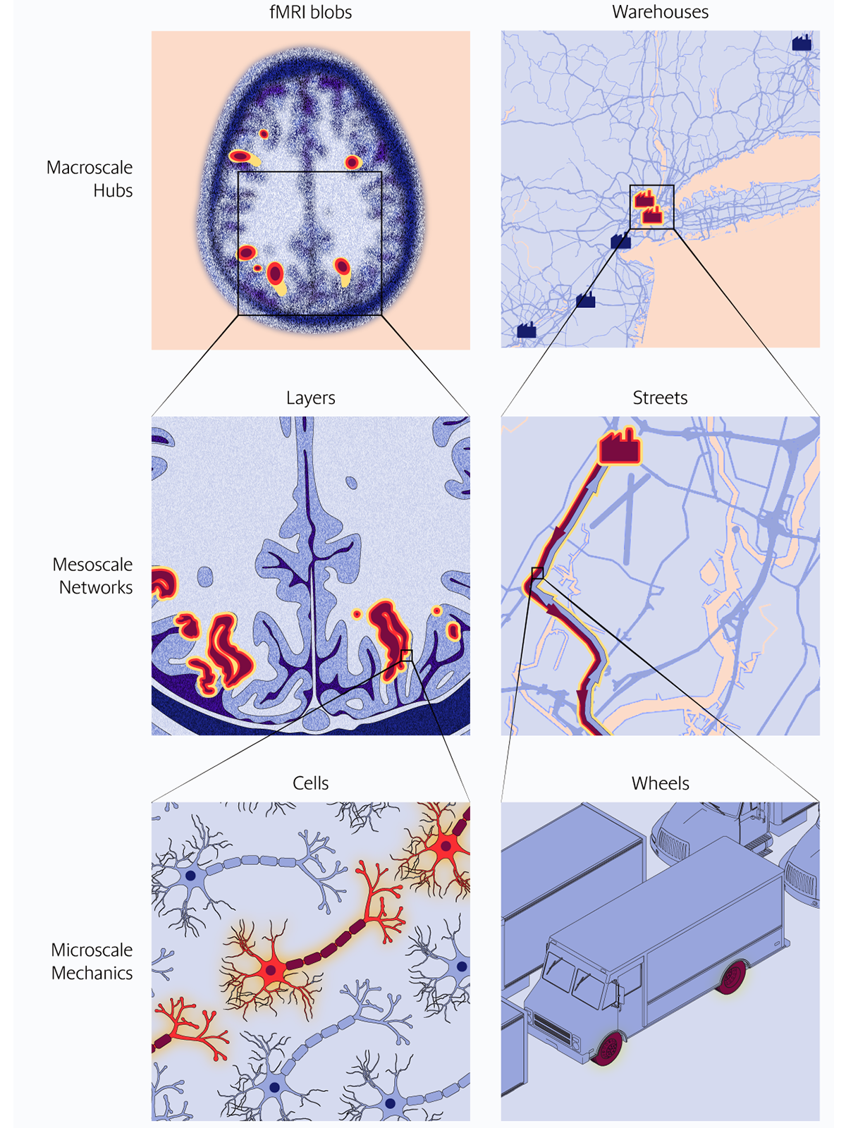 Graphic showing, side by side, slides zooming into subsections of a human brain and slides zooming in from a map to a particular point in a traffic jam.