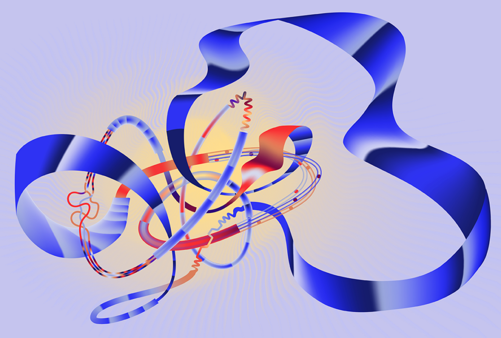 Illustration of complex, intersecting biological structures.
