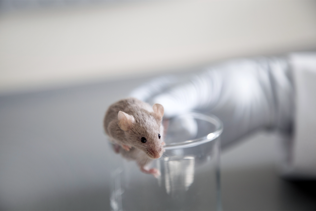 Researcher holds a mouse perched on a glass cylinder.