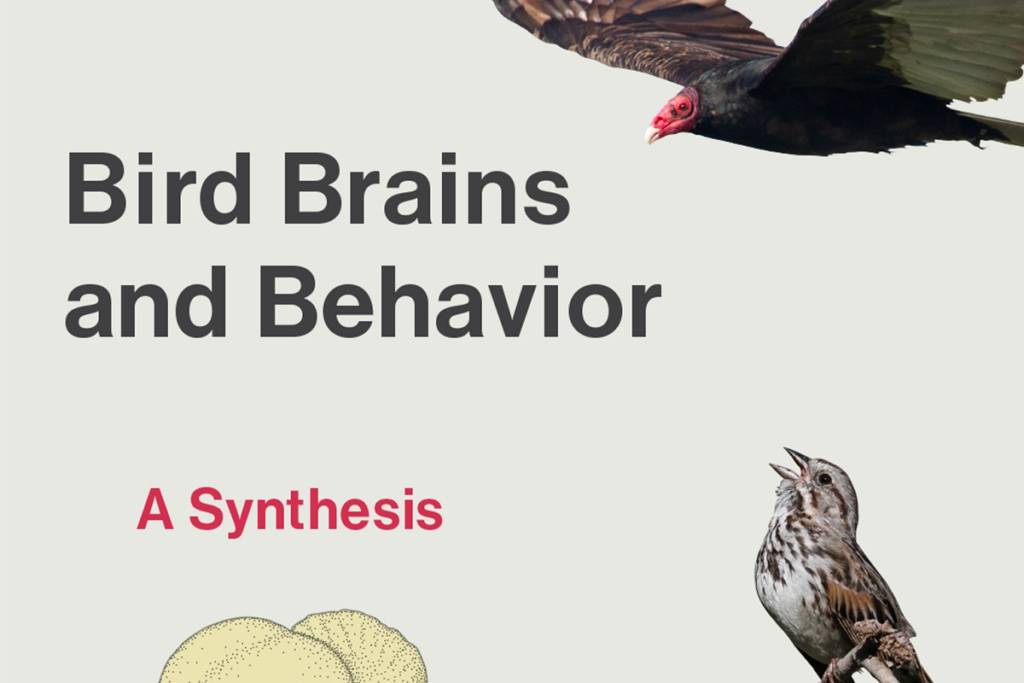 Book cover for Bird Brains and Behavior: A Synthesis, showing several bird species.