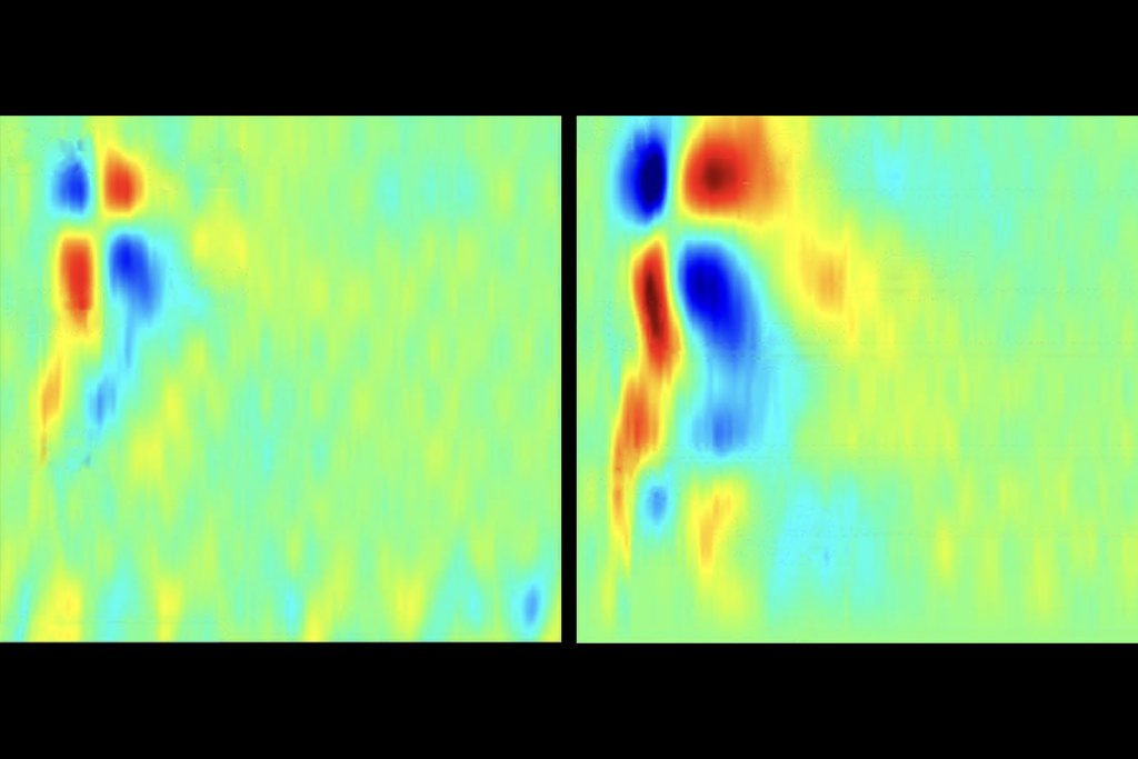 Research image of neural activity in mouse auditory cortices.
