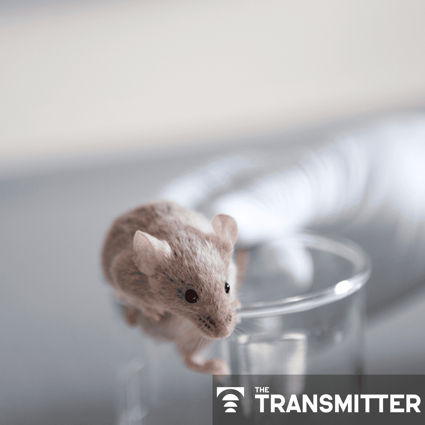 NIH proposal sows concerns over future of animal research, unnecessary costs episode artwork