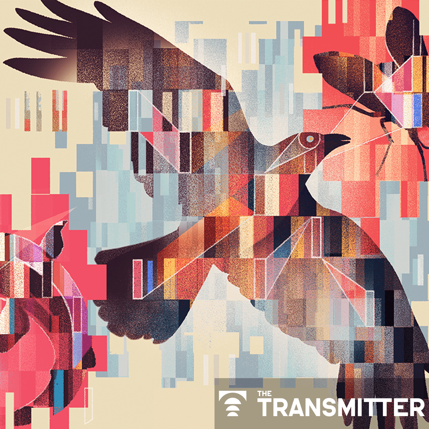 Systems and circuit neuroscience need an evolutionary perspective episode artwork