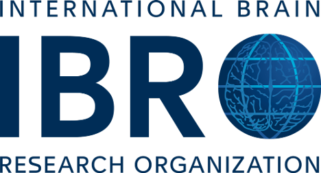 IBRO logo.