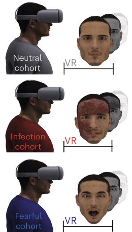 Research image demonstrating the virtual headset view for study participants.