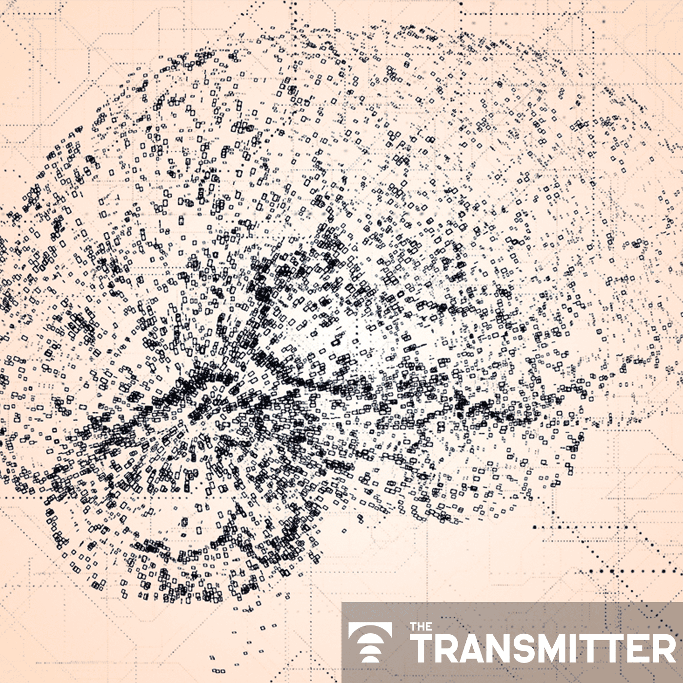Long-standing theoretical neuroscience fellowship program loses financial support episode artwork