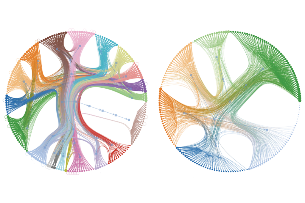 Research image of neuron organization in c elegans.