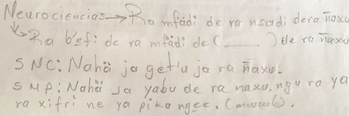 Handwritten neuroscience terms translated from Spanish to the Mexican Indigenous language of Hñähñu.