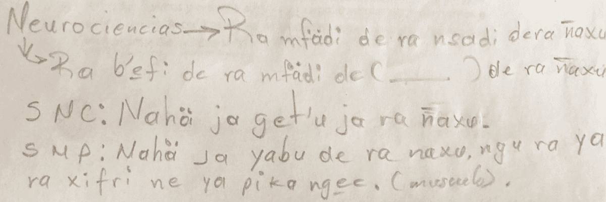 Handwritten neuroscience terms translated from Spanish to the Mexican Indigenous language of Hñähñu.