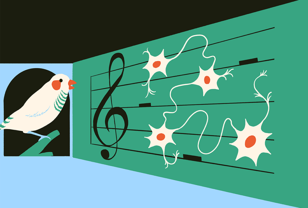 Illustration of a musical staff with notes represented by neurons.