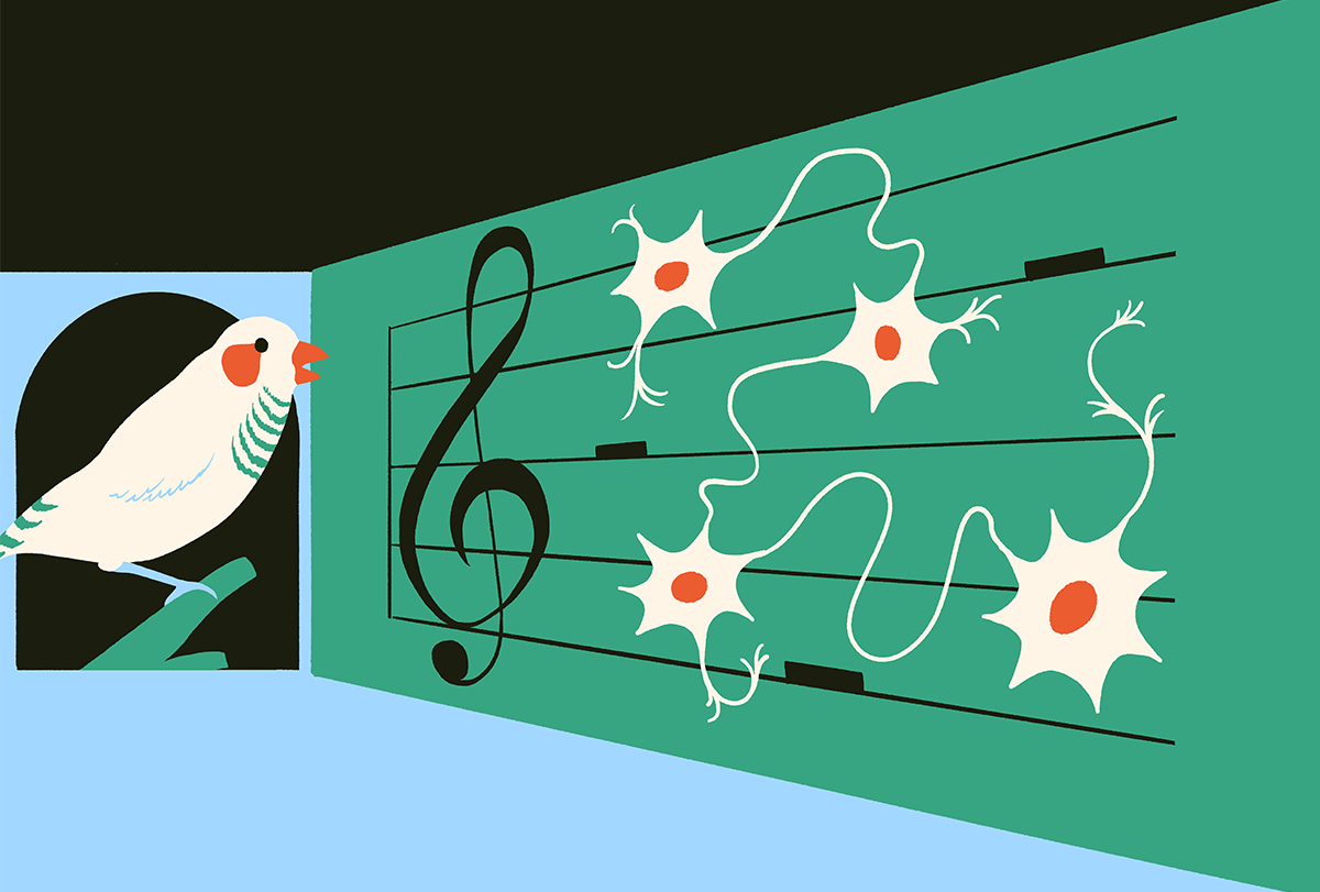 Illustration of a musical staff with notes represented by neurons.
