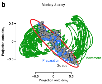 Research image visualizing neural activity.