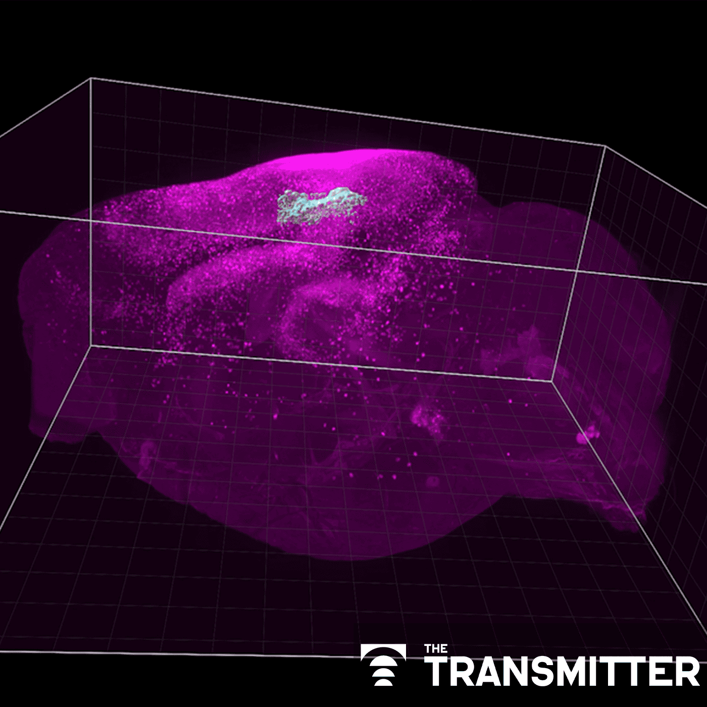 Astrocyte networks span large swaths of brain episode artwork