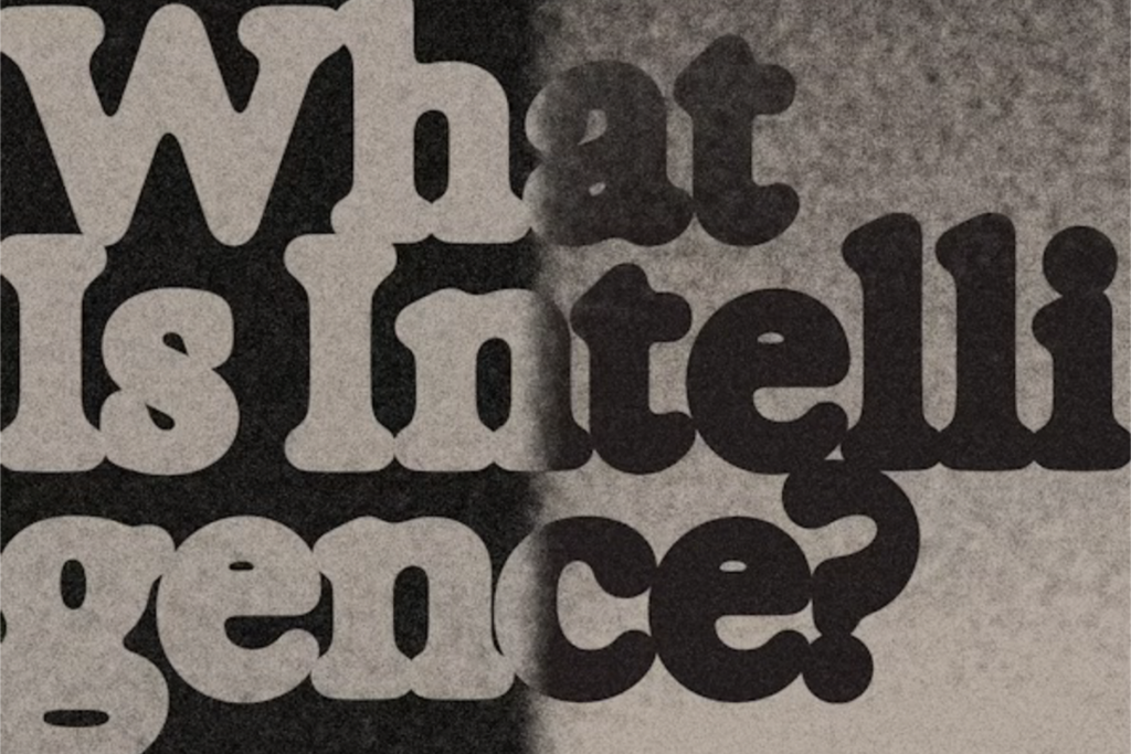 Book cover of What Is Intelligence.
