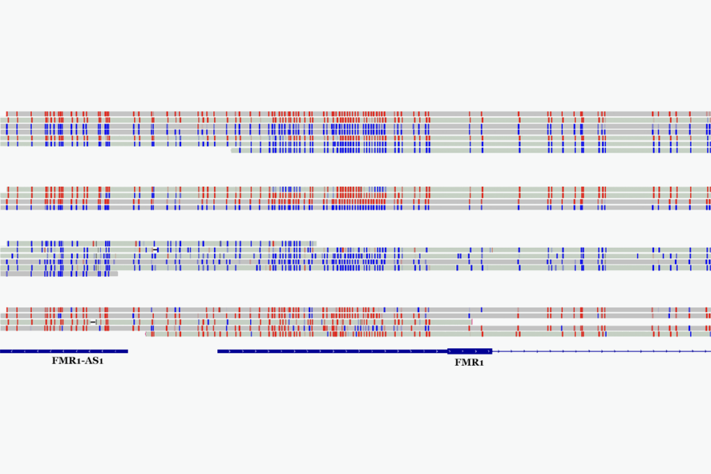 Research image visualizing genetic variation.