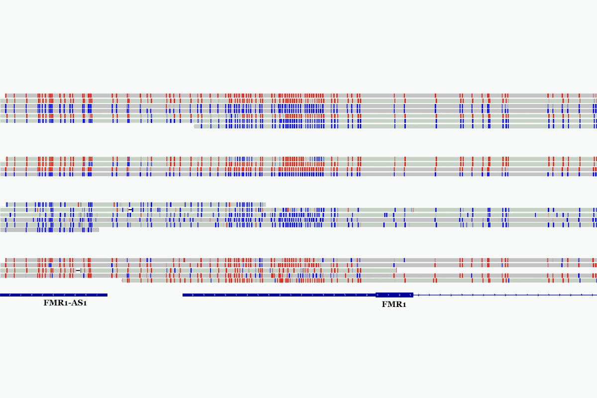 Research image visualizing genetic variation.