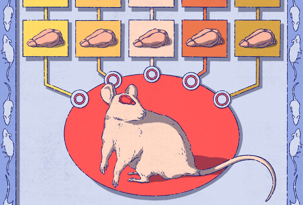 Illustration of a multiple mouse brains and brain slices converging onto one animal.
