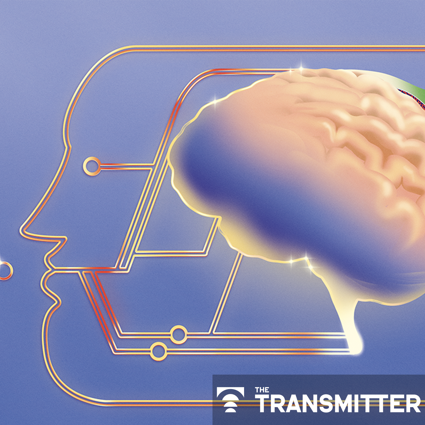 Why we need basic science to better understand the neurobiology of psychedelics