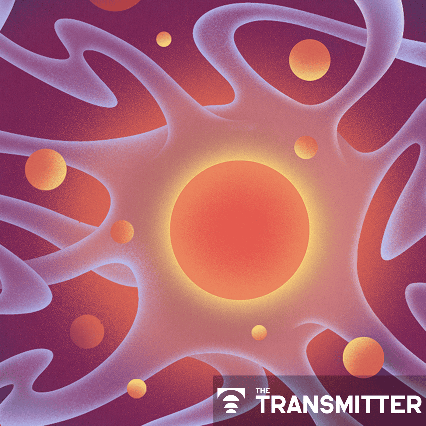 New questions around motor neurons and plasticity episode artwork