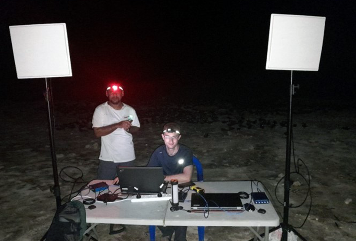 Researchers on a beach at night.