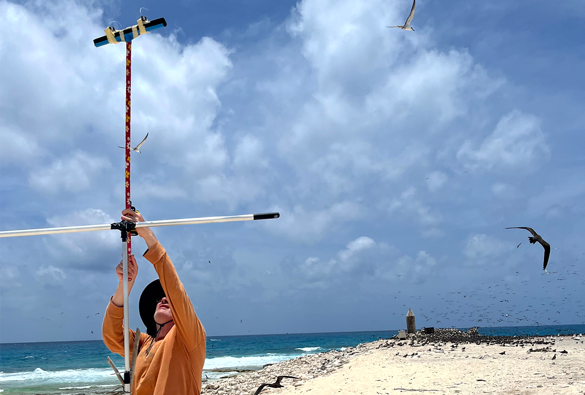 Researcher on an island with a flock of birds in the background.