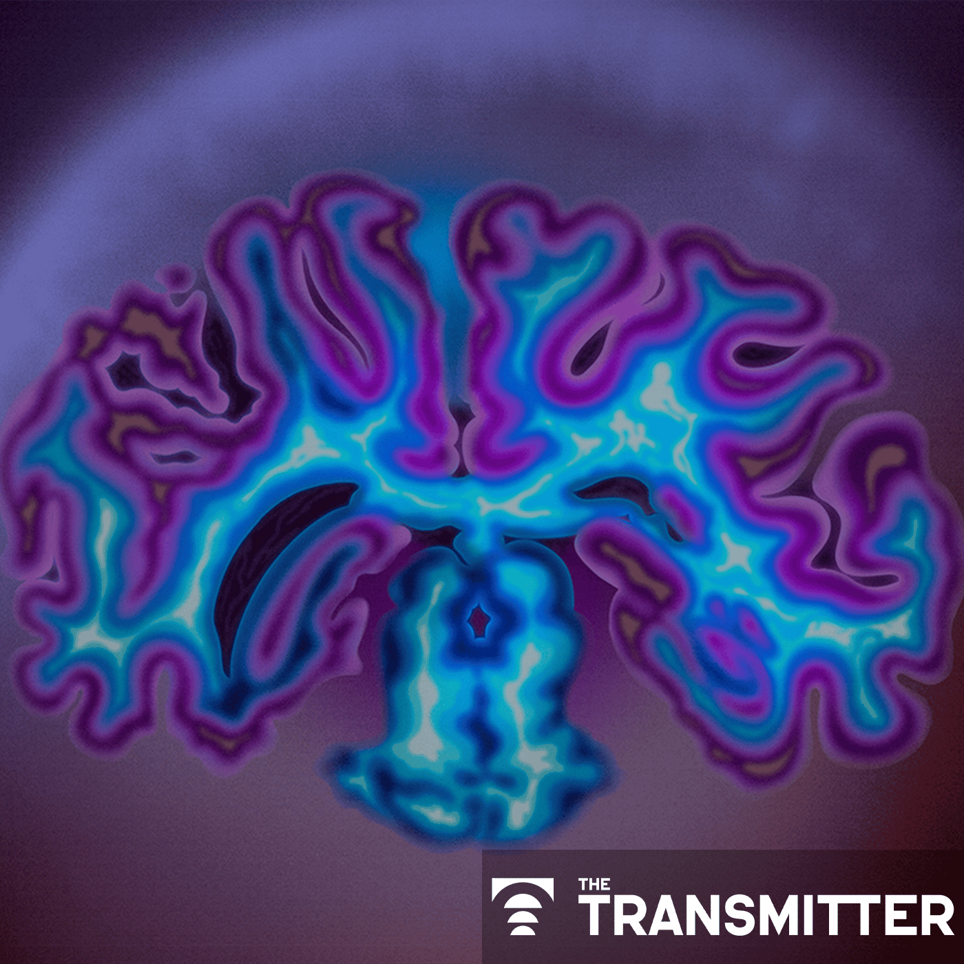 Without monkeys, neuroscience has no future episode artwork