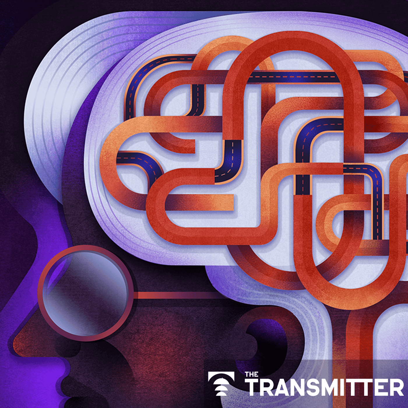 Aging as adaptation: Learning the brain's recipe for resilience episode artwork