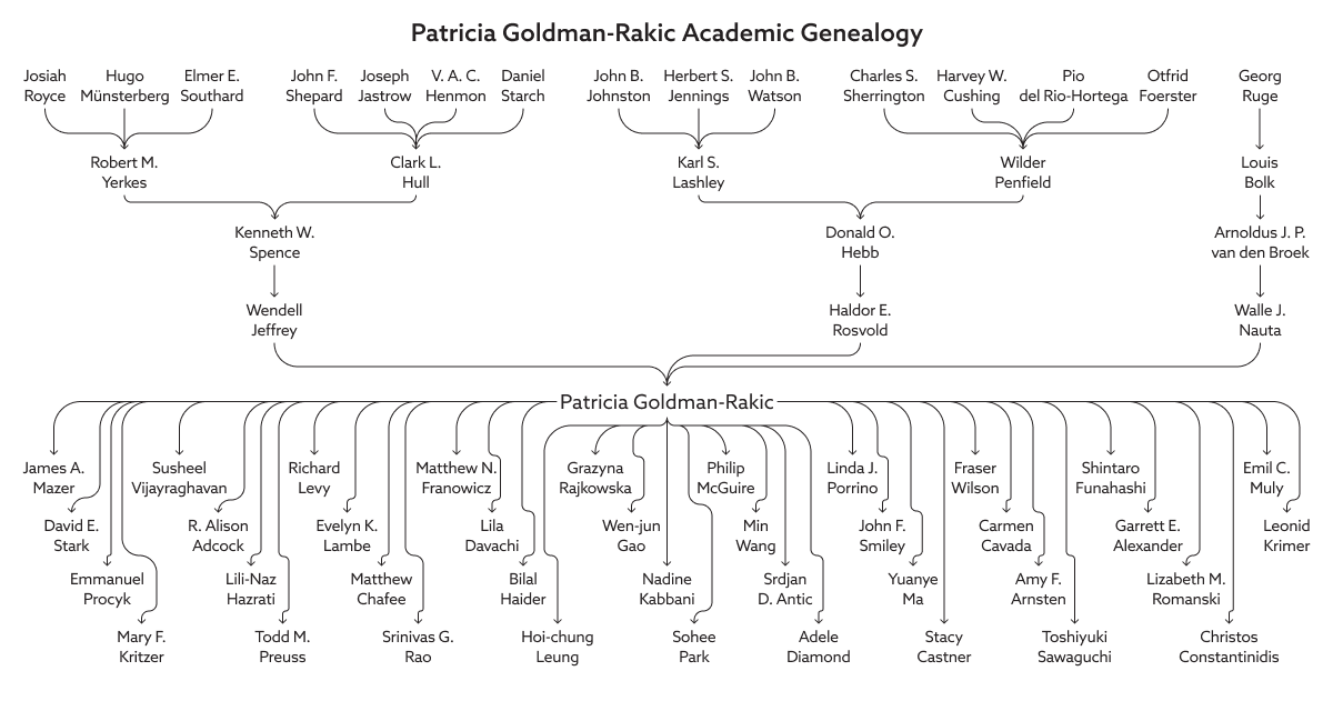 A Neurotree genealogy.