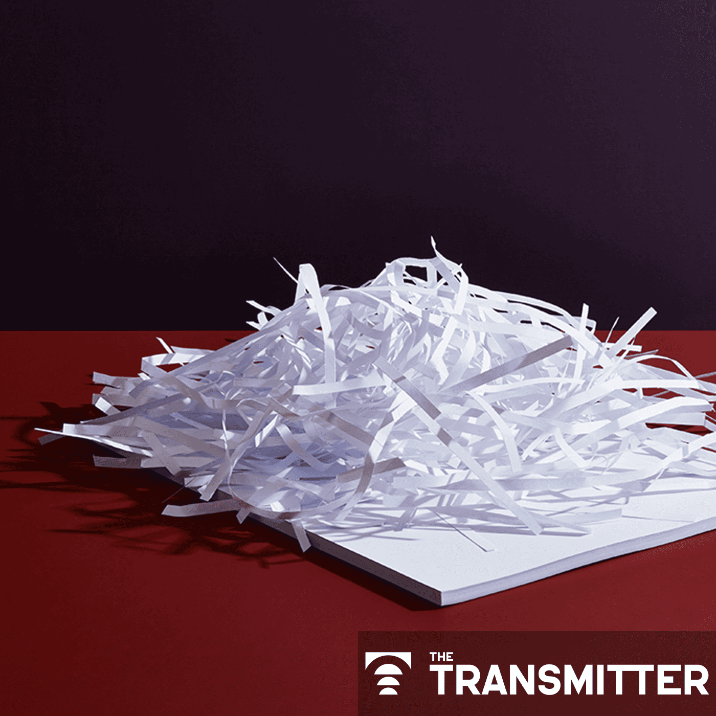 Exclusive: Springer Nature retracts, removes nearly 40 publications that trained neural networks on 'bonkers' dataset episode artwork