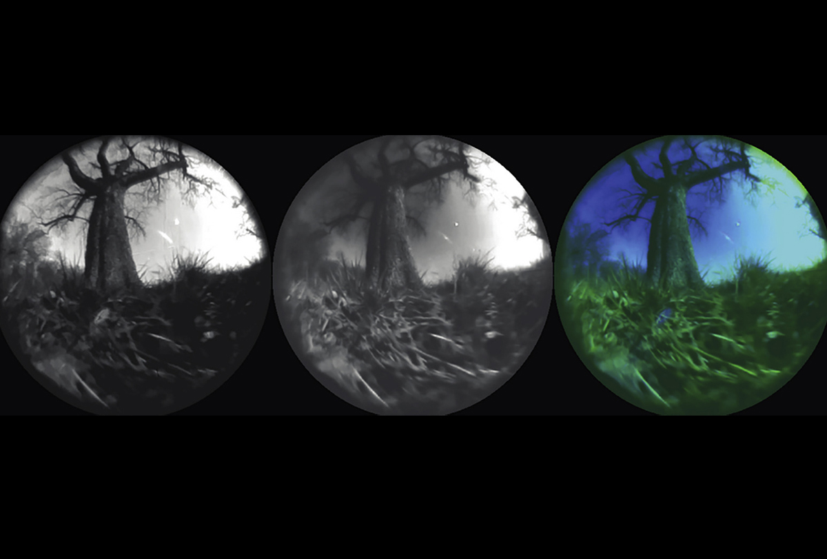 Research image of a virtual environment simulating an animal’s viewpoint close to the ground.