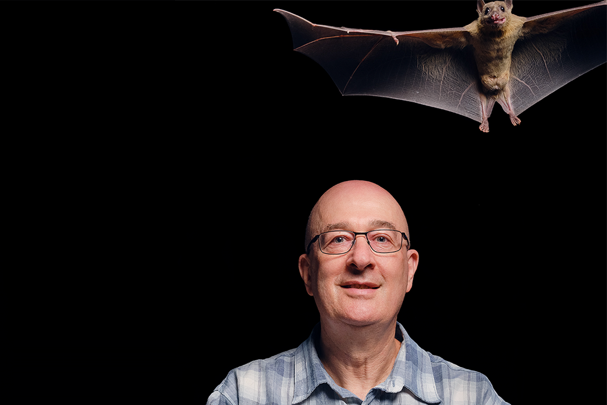 Nachum Ulanovsky sits against a black background with one bat in his hands and another with its wings spread above his head.