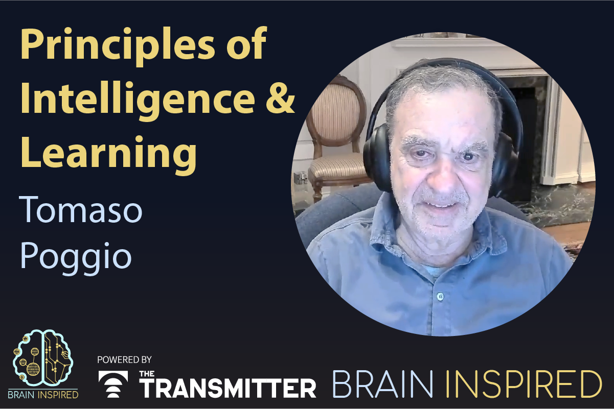 Tomaso Poggio on his quest for theories to explain the fundamental learning abilities of brains and machines