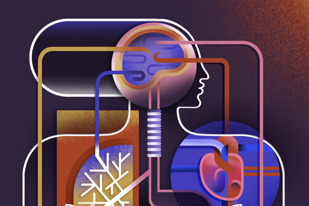 A human silhouette with lines connecting the brain to various organs.