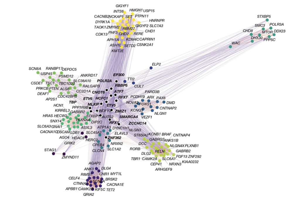 Research image showing gene association.