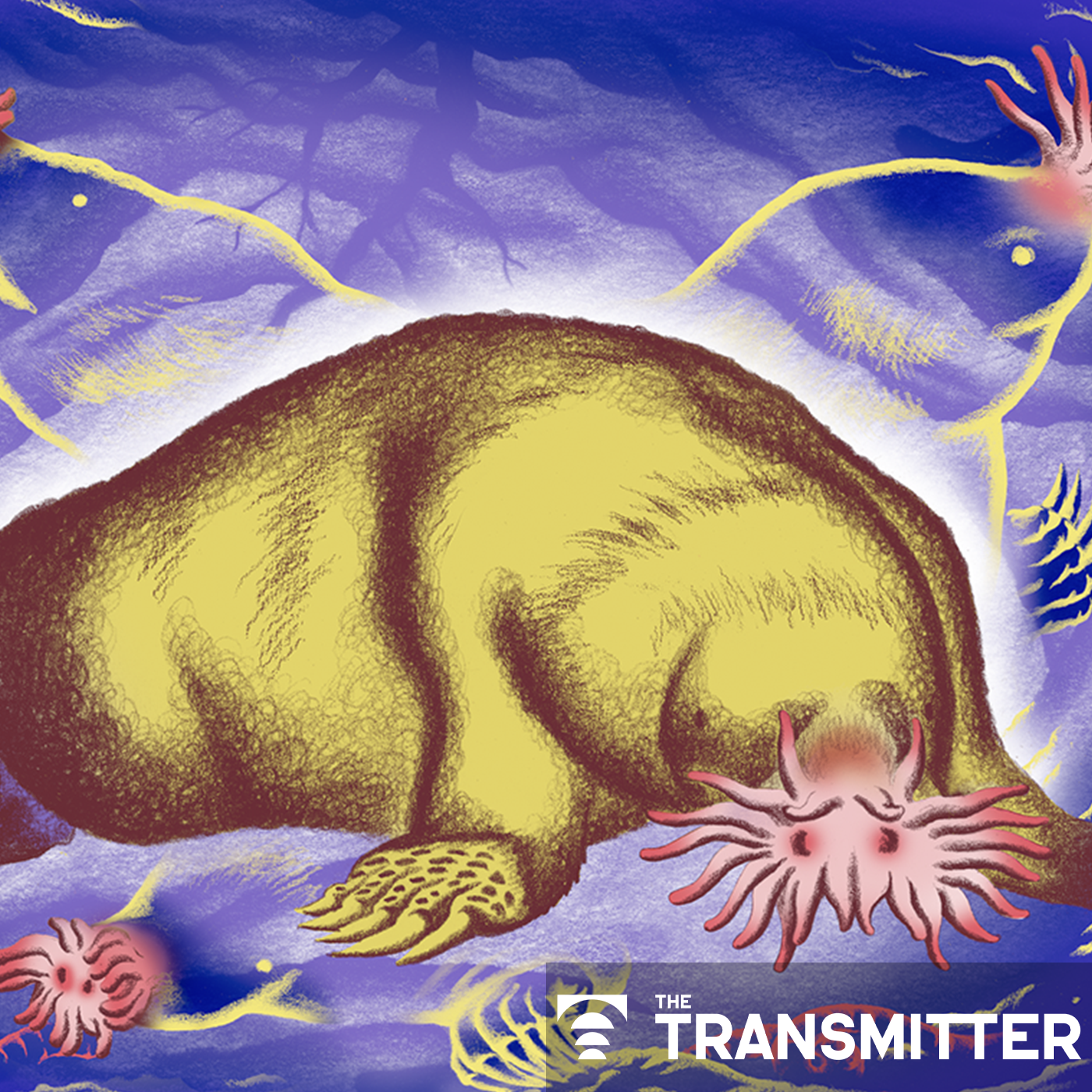Neuro's ark: Understanding fast foraging with star-nosed moles episode artwork
