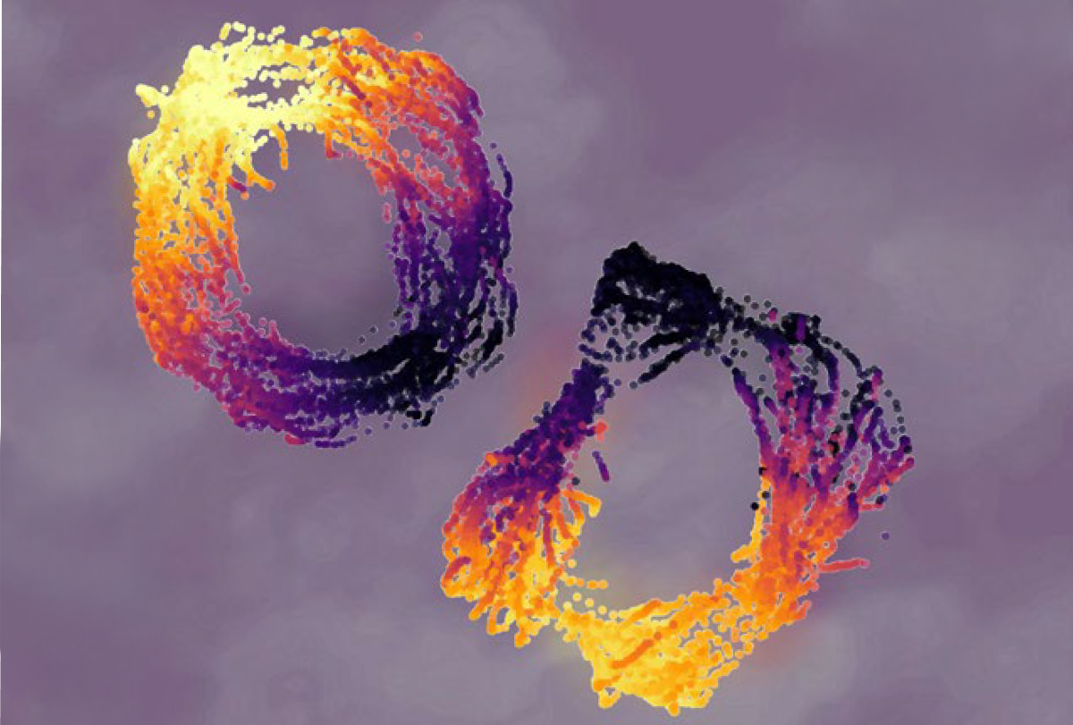 Research image of population activity from deep and superficial CA1 pyramidal cells.