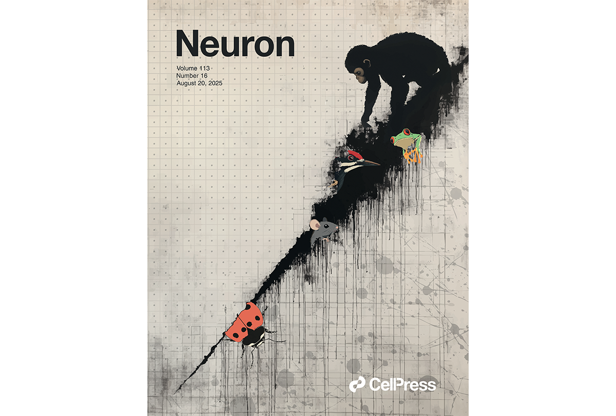 Animals creeping out of a black rift that is dripping black ink.