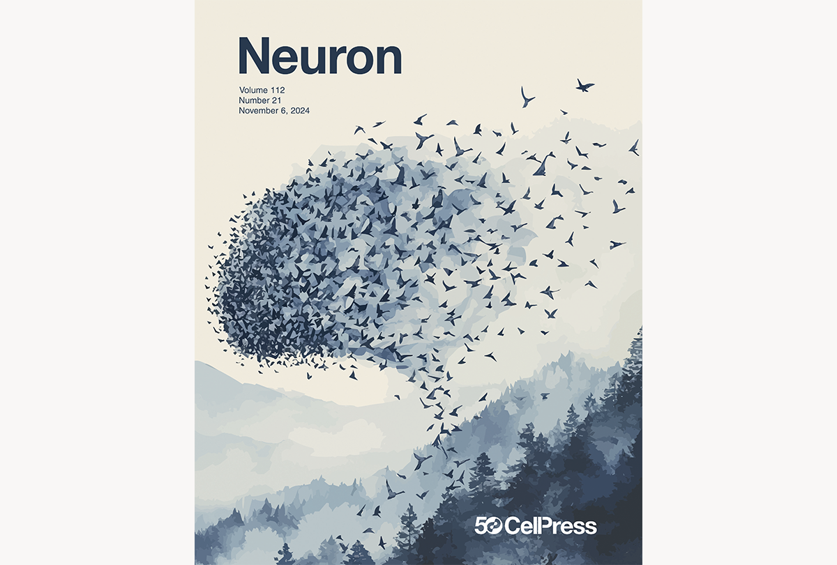 Cover of the journal Neuron with a brain shape made up of flying birds in a forested landscape.