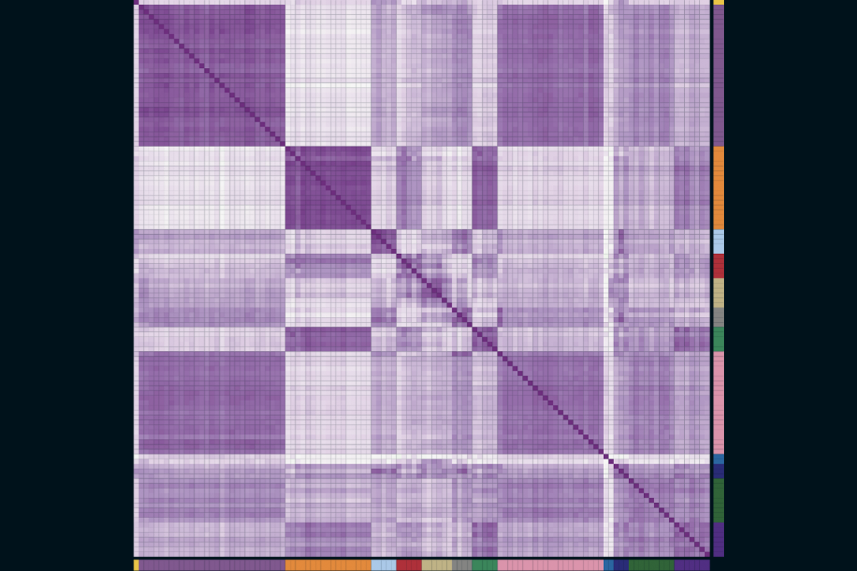 Research image of patters of expression of autosomal genes