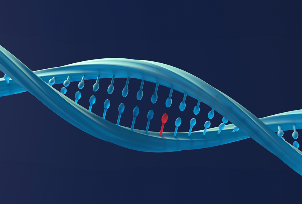 DNA helix.
