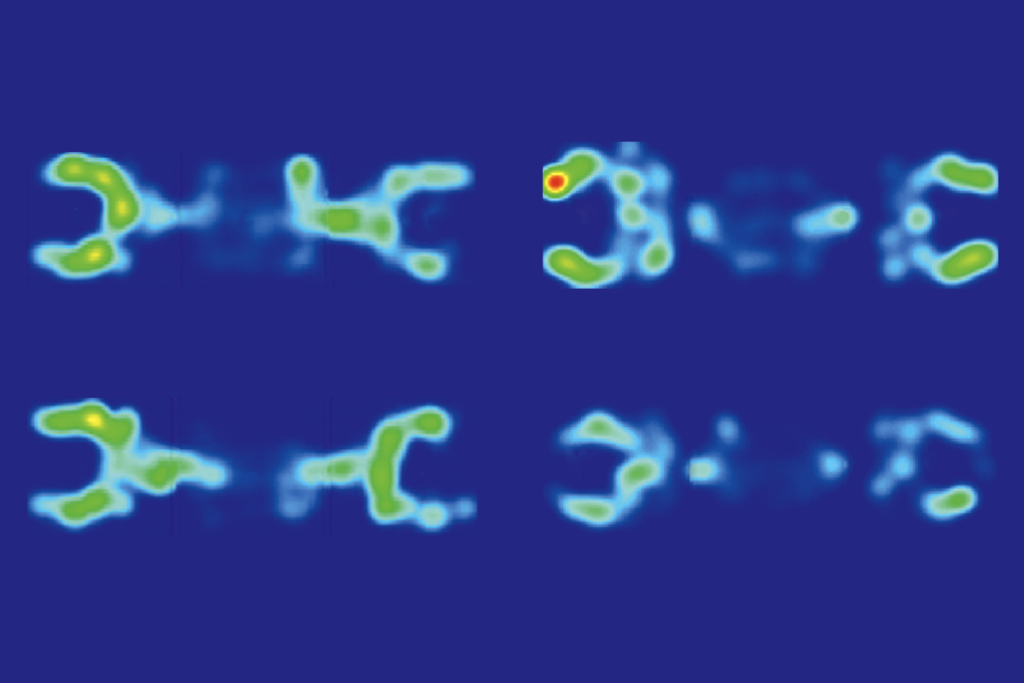 Research image of X-linked RNAs in male mice