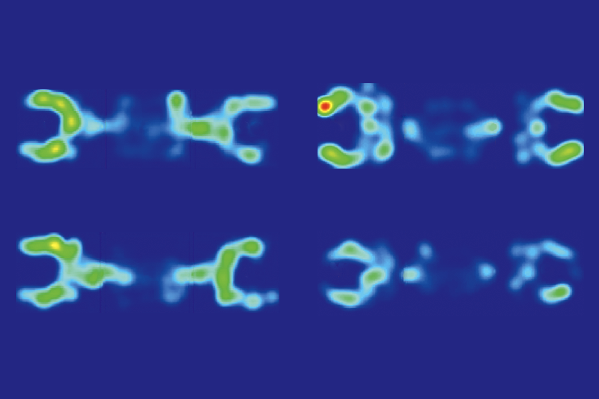 Research image of X-linked RNAs in male mice