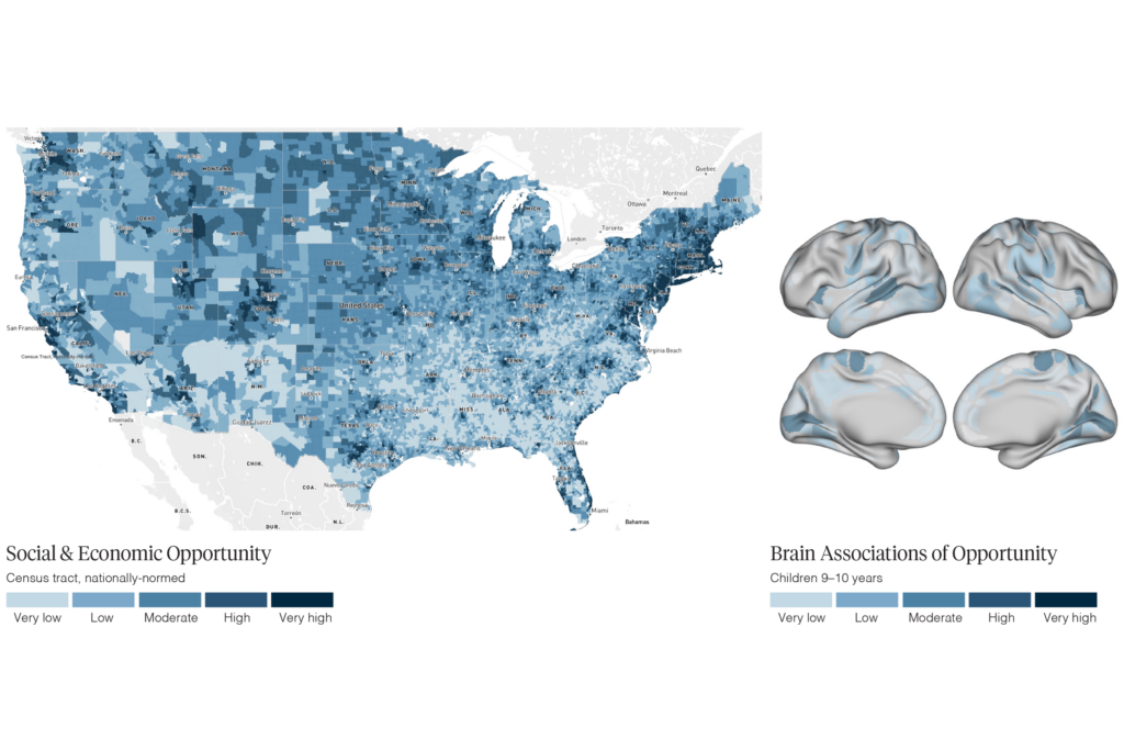 Map of socioeconomic opportunity in the United States next to visualizations of functional connectivity and structure in sensory and motor cortices.