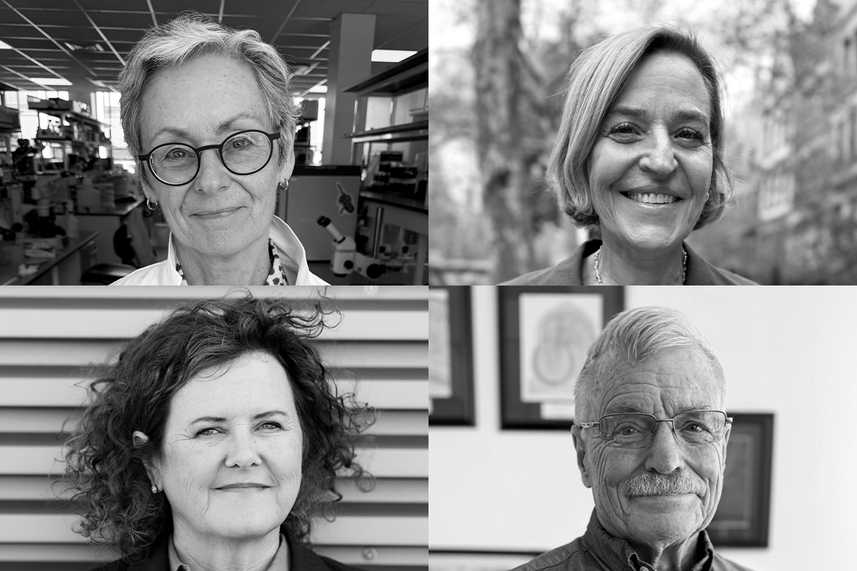 Headshots of the 2026 Kavli Prize in Neuroscience winners