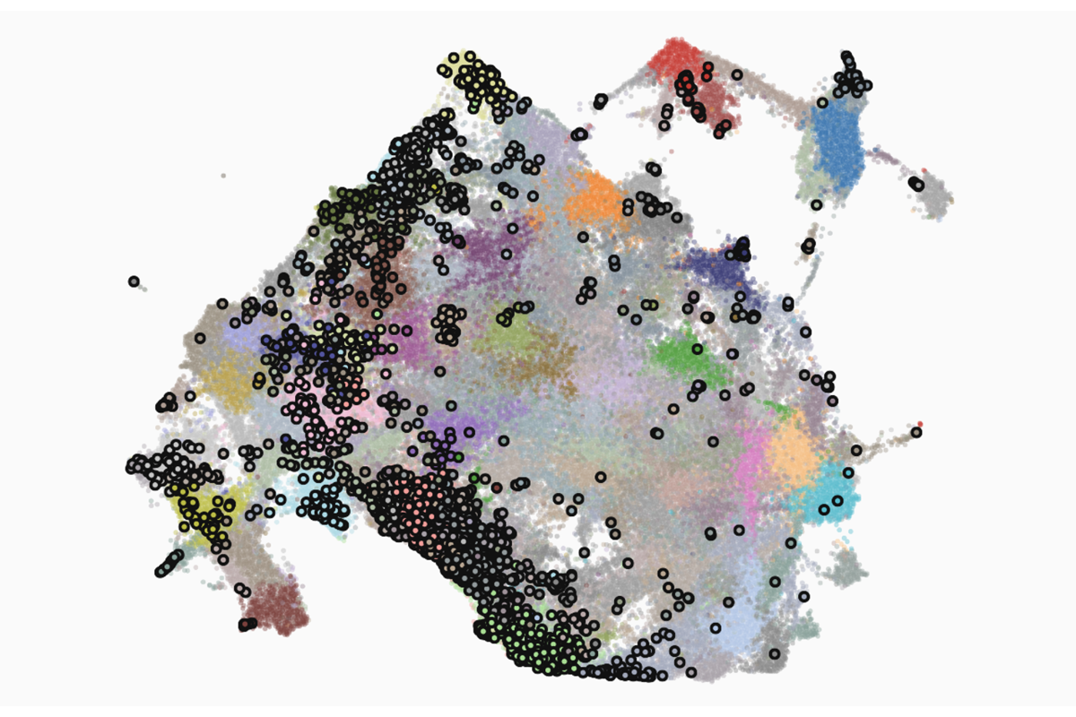 Data visualization of 2026 OHBM abstracts in the context of field-wide publications.