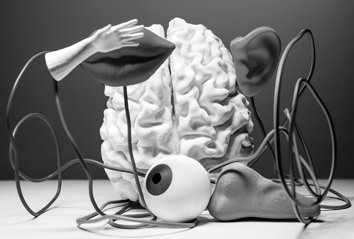 A white brain model is surrounded by bright, detached sensory organs mounted on colorful wires.