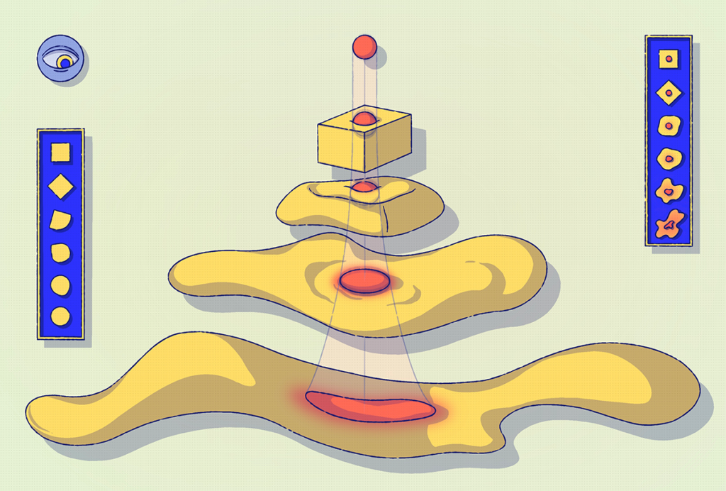 Illustration of cells converting from fibroblasts to myoblasts.