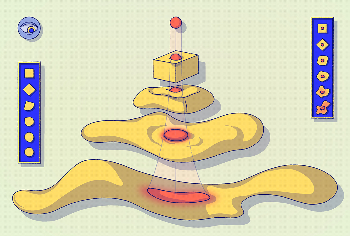 Illustration of cells converting from fibroblasts to myoblasts.